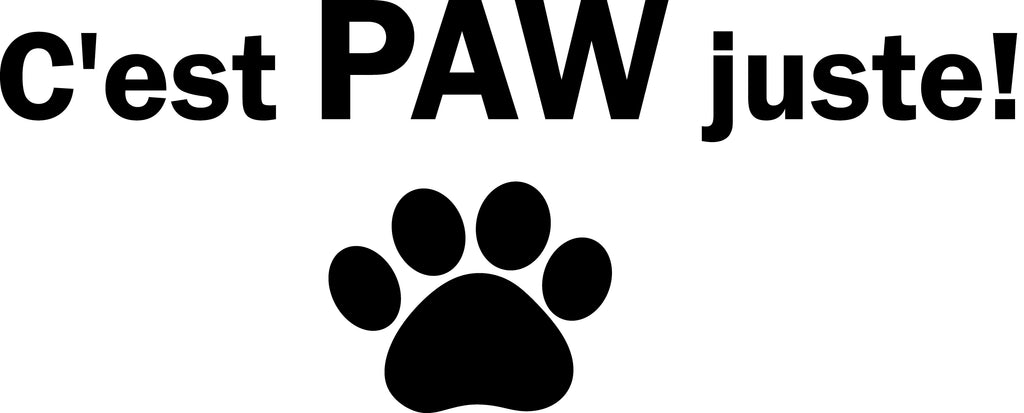 C'est PAW juste ! - Enfants